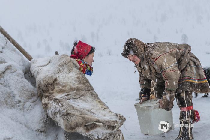 涅涅茨人营地  The Nenets campsite 叶丹蕾/DANLEI YE