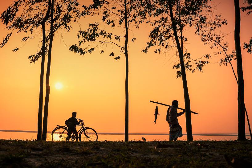 夕阳下归家   Walking home in the setting sun 谢凌/LING XIE